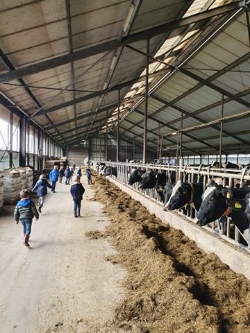 Groep 1/2 naar de boerderij!