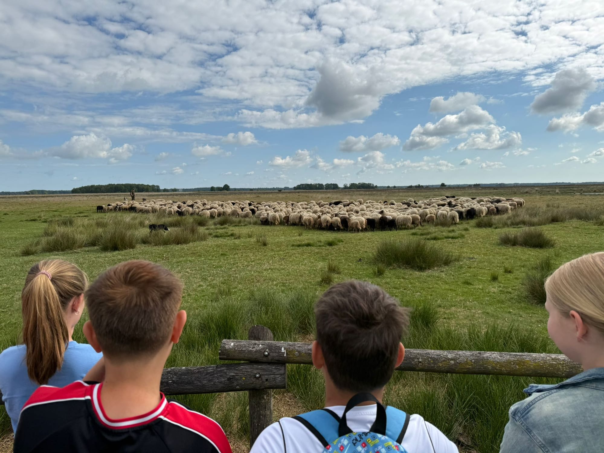 De bovenbouw op KC De Klimtoren